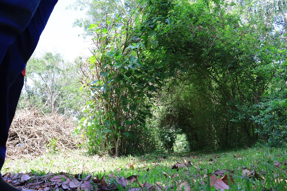 Educational facilities